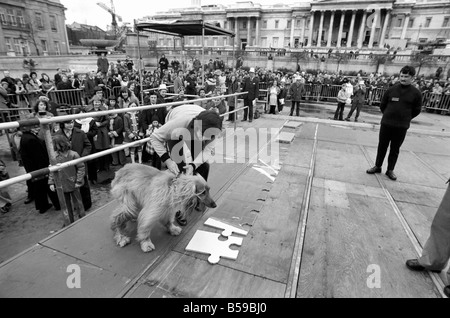 Die NCH giant Jig sah Kampagne auf dem Trafalgar Square, Disc-Jockey Ed Stewart platziert Teil die Stichsäge März 1975 75-1709-004 Stockfoto