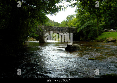 Fingle Bridge über den Fluß Teign im Teign Valley Devon UK Stockfoto