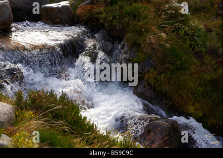 Aus dem Weg zu Ben Macdui mit Strom / Wasserfall unterhalb der großen Platte auf Cairn man Scotland UK Stockfoto