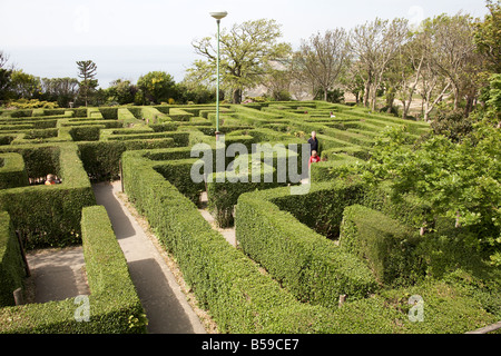 Irrgarten in Blackgang Chine Fantasy Park Isle Of Wight England UK Familie und Kinder Besucherattraktion Stockfoto