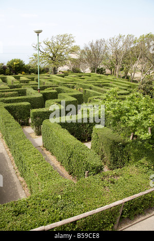 Irrgarten in Blackgang Chine Fantasy Park Isle Of Wight England UK Familie und Kinder Besucherattraktion Stockfoto