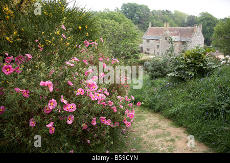 Garten von Mottistone Manor NT National Trust Isle Of Wight England UK Stockfoto