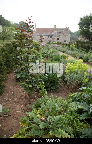 Garten von Mottistone Manor NT National Trust Isle Of Wight England UK Stockfoto