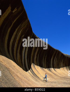 Ein Mann, Blick auf Wave Rock in Hyden Western Australia Australien Pazifik Stockfoto