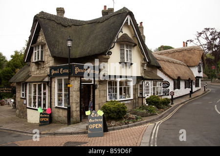 Pearl Cottage und traditionellen alten historischen Häusern und strohgedeckten Dach Gebäude Shanklin Isle Of Wight England UK Stockfoto