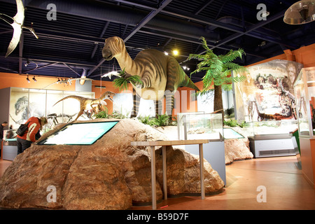 Menschen in Dinosaur Isle Besucher touristische Attraktion Ausstellung Sandown Isle Of Wight England UK Stockfoto