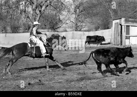 Bauer Bill Frith Appledore, Kent, in Cowboy Kleid und Sporen, mit seinem American Quarter Horse Hengst Jack Bouncer zeigt ihr Tempo bei "schneiden eine Steuern" in den Ring, die speziell auf seiner Farm gebaut. ; Februar 1975; 75-01160-002 Stockfoto