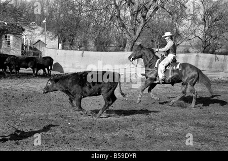 Bauer Bill Frith Appledore, Kent, in Cowboy Kleid und Sporen, mit seinem American Quarter Horse Hengst Jack Bouncer zeigt ihr Tempo bei "schneiden eine Steuern" in den Ring, die speziell auf seiner Farm gebaut. ; Februar 1975; 75-01160 Stockfoto