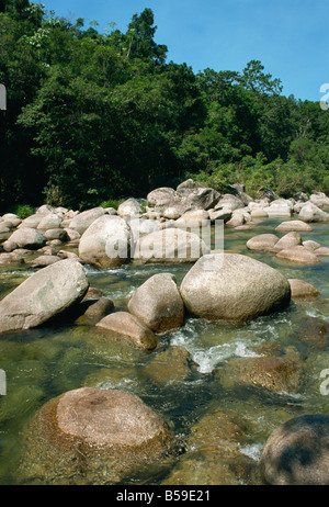 Mossman Schlucht in der Nähe von Port Douglas-Queensland-Australien-Pazifik Stockfoto