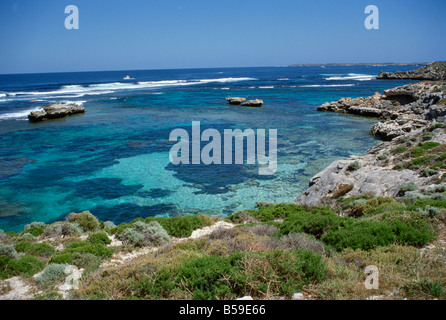 Rottnest Island Perth Western Australia Australien Pazifik Stockfoto