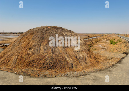 Salz machen in der Nähe von Navsari, Gujarat, Indien Stockfoto