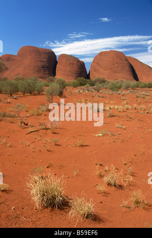 Olgas, Uluru-Kata Tjuta National Park, UNESCO World Heritage Site, Northern Territory, Australien, Pazifik Stockfoto