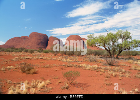 Olgas, Uluru-Kata Tjuta National Park, UNESCO World Heritage Site, Northern Territory, Australien, Pazifik Stockfoto