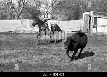 Bauer Bill Frith Appledore, Kent, in Cowboy Kleid und Sporen, mit seinem American Quarter Horse Hengst Jack Bouncer zeigt ihr Tempo bei "schneiden eine Steuern" in den Ring, die speziell auf seiner Farm gebaut. ; Februar 1975; 75-01160-001 Stockfoto