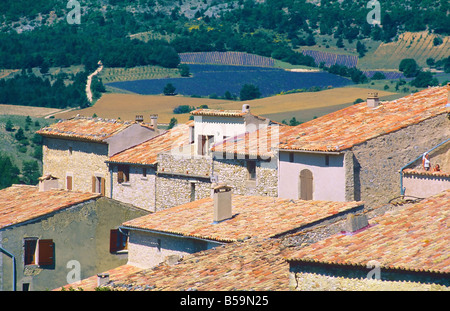 ZIEGELDÄCHER "AUREL" DORF PROVENCE FRANKREICH Stockfoto