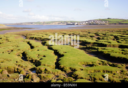 Fernsicht auf Appledore von Northam burrows bei Ebbe über exponierte Wattenmeer und Strand an der Mündung des Flusses Torridge. Stockfoto