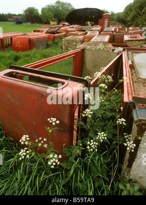 UK England Essex Fyfield überwuchert redundante K6 Telefonzellen warten auf Verkauf im Bereich Stockfoto