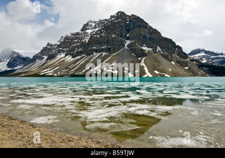 Eisflocken Mitte Juni am Bow Lake aus dem Icefields Parkway im Banff-Nationalpark Alberta Kanada Stockfoto