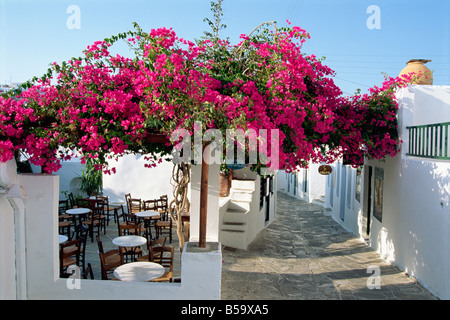 Seite Straße weiße Wände Café und Bougainvillea in Apollonia auf Sifnos Kykladen Inseln griechische Inseln Griechenland Europa Stockfoto