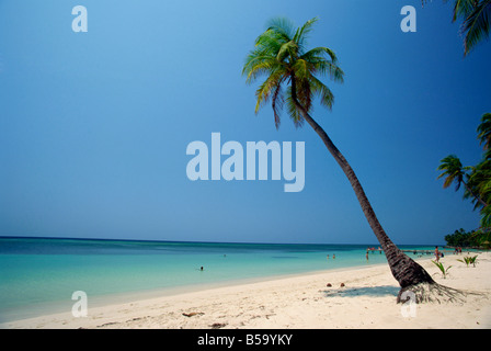 Touristen am tropischen Strand von West Bay an der Westspitze von Roatan, größte Insel der Bay in Honduras, Caribbean Stockfoto