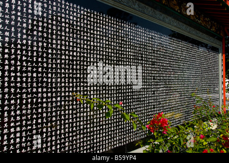 Wun Chuen Sin Koon Tempel, neuer Territorien, Hong Kong, China Stockfoto