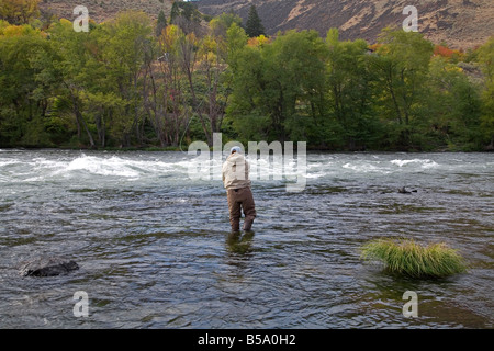 Ein Fliegenfischer wirft fliegen für Steelhead Forelle auf dem Deschutes River in der Nähe der Stadt Maupin, Oregon, im September. Stockfoto