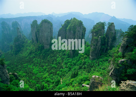 Kalksteinfelsen und bewaldeten Tälern von Zhangjiajie Waldpark in Wulingyuan landschaftlich reizvollen Gegend in der Provinz Hunan, China Stockfoto