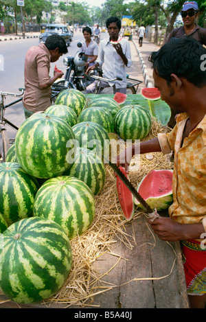 Wasser Melonen Süd Indien Indien Asien Stockfoto