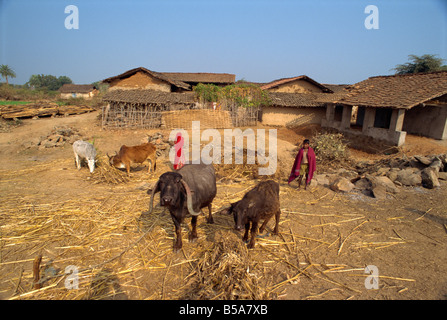 Dorfleben Staat Dhariyawad Rajasthan Indien Asien Stockfoto