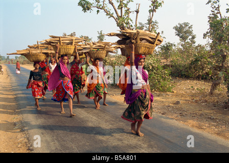 Frauen sammeln von Brennholz in der Nähe von Dhariyawad Rajasthan Staat Indien Asien Stockfoto