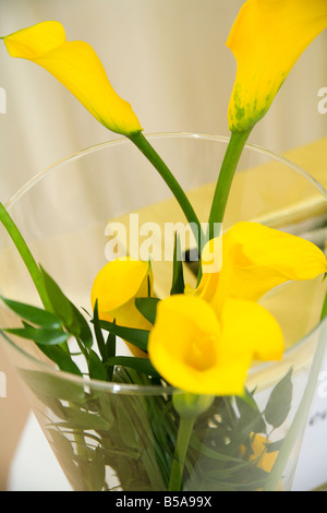 Eine Vase mit gelben Lilien. Stockfoto