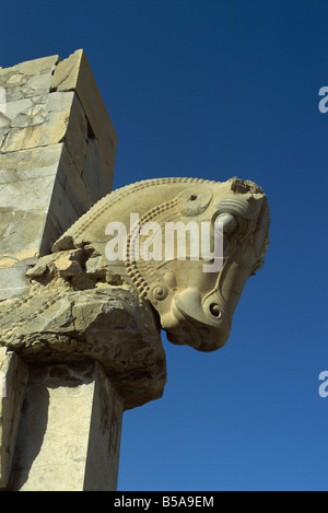 Detail, schnitzen des Pferdes auf Tor zur Halle von einem hundert Spalten, Persepolis, UNESCO-Weltkulturerbe, Iran, Naher Osten Stockfoto