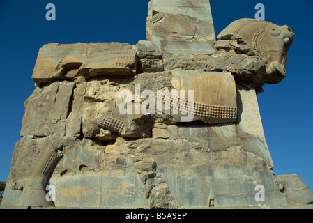 Detail, schnitzen des Pferdes auf Tor zur Halle von einem hundert Spalten, Persepolis, UNESCO-Weltkulturerbe, Iran, Naher Osten Stockfoto