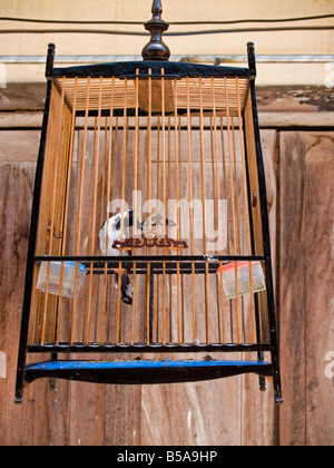 Holz Vogelkäfig in Chiang Khan Thailand Stockfoto