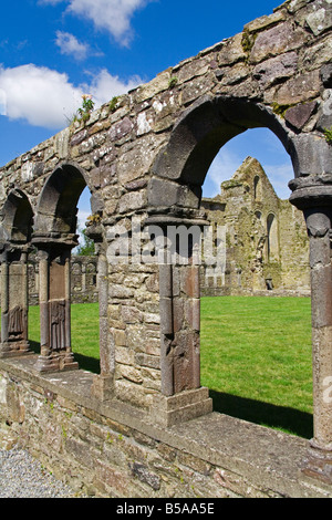 Jerpoint Abbey, Grafschaft Kilkenny, Leinster, Irland, Europa Stockfoto