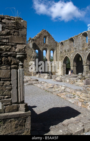 Jerpoint Abbey, Grafschaft Kilkenny, Leinster, Irland, Europa Stockfoto