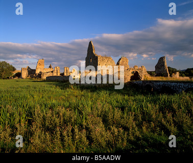 Athassel Priory, einst das größte Kloster in Irland, in der Nähe von Cashel, County Tipperary, Munster, Irland Stockfoto