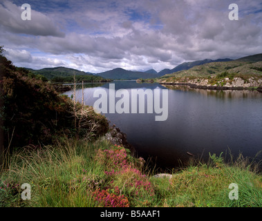 Ansicht des oberen Sees, Seen von Killarney, in der Nähe von Killarney, Ring of Kerry, County Kerry, Munster, Irland, Europa Stockfoto