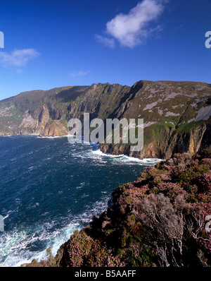 Slieve League, der höchsten Klippen in Europa, Bunglass Point, Ulster County Donegal, Republik Irland, Europa Stockfoto