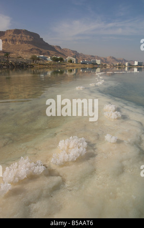 Meer und Salzformationen mit Hotels und einsamen Klippen hinaus Ein Bokek Hotel Resort, Totes Meer, Israel, Nahost Stockfoto