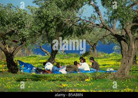 Frühlingspicknick in einem Olivenhain in der Nähe von Milazzo auf Nord-Ostküste, Sizilien, Italien, Europa Stockfoto