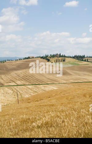 Typischer Blick auf die toskanische Landschaft, Le Kreta (The Kreta), Toskana, Italien, Europa Stockfoto