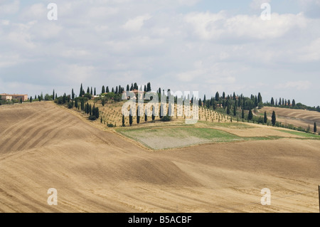 Typischer Blick auf die toskanische Landschaft, Le Kreta (The Kreta), Toskana, Italien, Europa Stockfoto