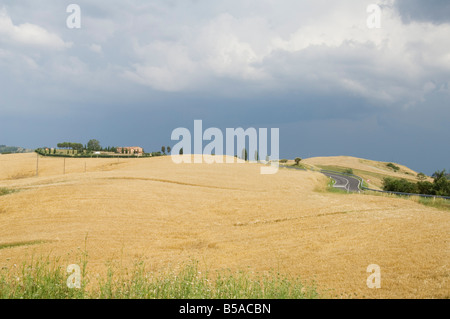 Typischer Blick auf die toskanische Landschaft, Le Kreta (The Kreta), Toskana, Italien, Europa Stockfoto