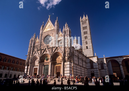 Dom aus der Zeit zwischen dem 12. und 14. Jahrhundert, Siena, UNESCO-Weltkulturerbe, Toskana, Italien, Europa Stockfoto