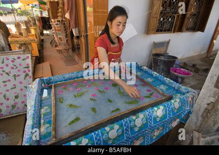 Herstellung von Papier im Dorf in der Nähe von Luang Prabang, Laos, Indochina, Südost-Asien Stockfoto