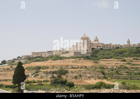 Kathedrale in Mdina, die Festung Stadt, Malta, Europa Stockfoto