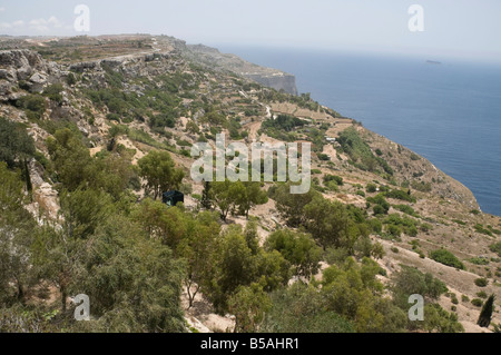 Dingli Cliffs, Malta, Europa Stockfoto