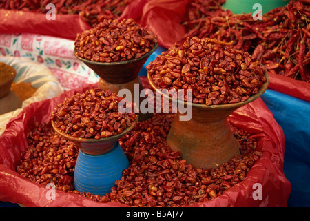 Getrocknete rote Chilis in Schalen zum Verkauf in San Cristobal de Las Casas in Chiapas Zustand, Mexiko, Nordamerika Stockfoto