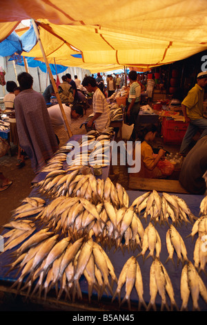 Fisch Markt, Rantepao, Toraja Bereich, Sulawesi, Indonesien, Südostasien Stockfoto